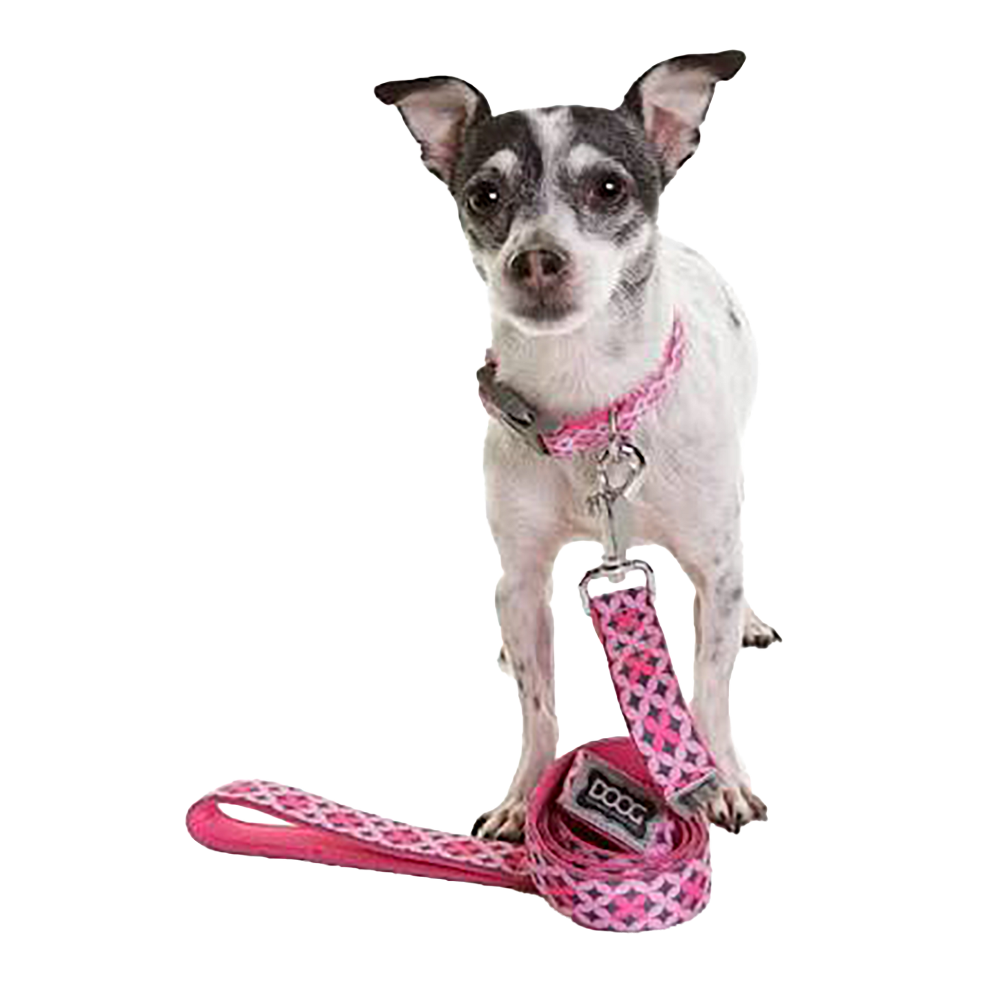 Toto