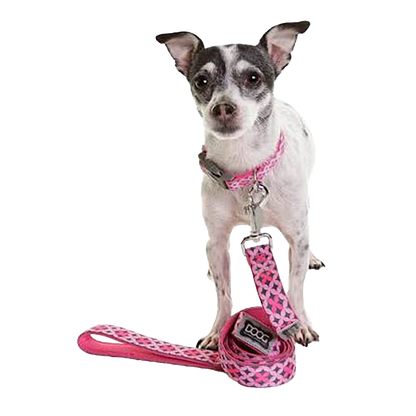 Toto