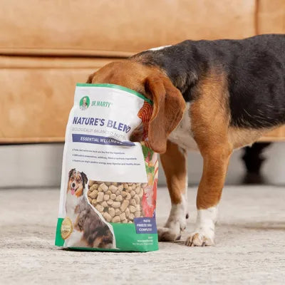 Dr. Marty Nature's Blend Essential Wellness Freeze-Dried Dog Food