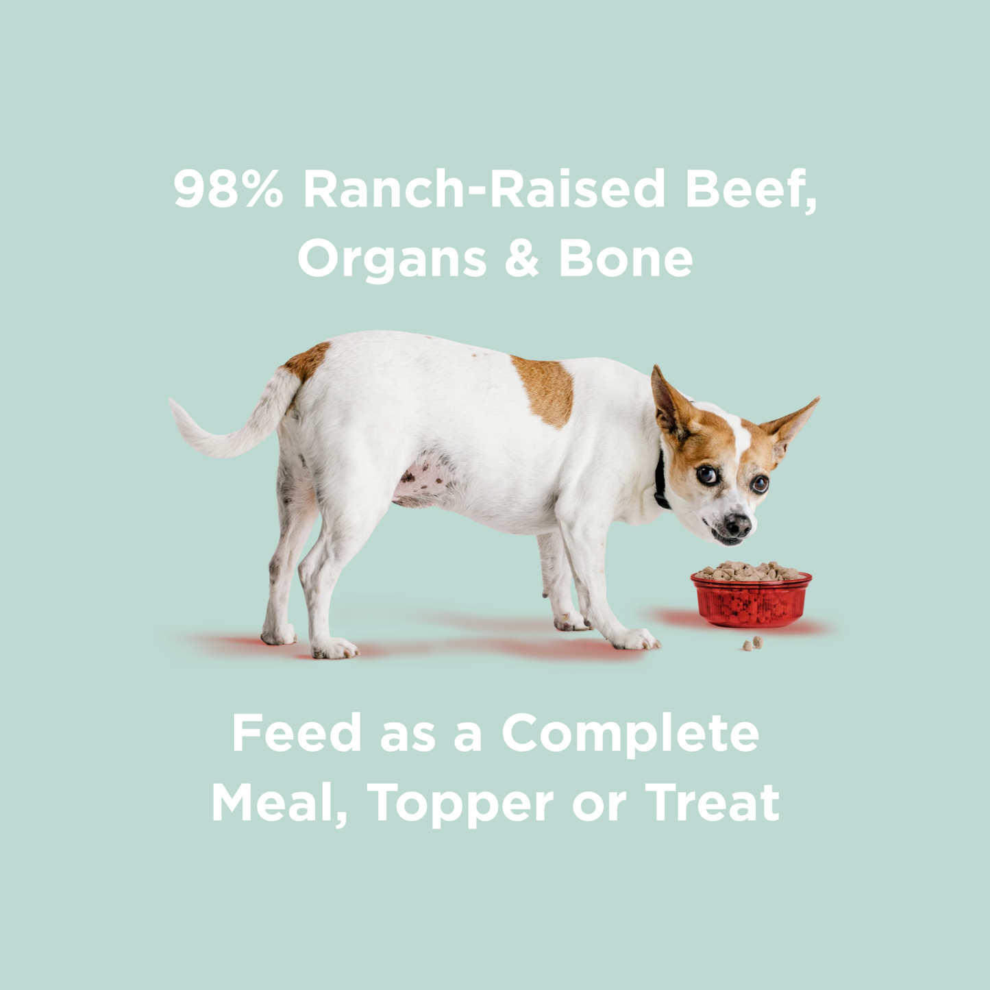 Bixbi Rawbble® Freeze-Dried Dog Food | Beef Recipe