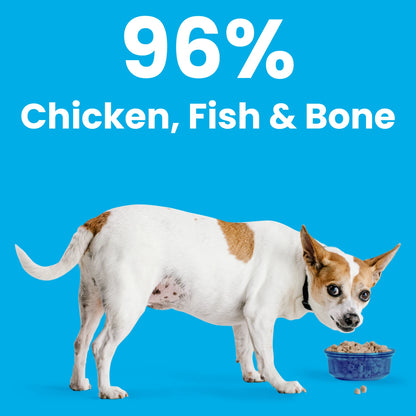 Bixbi Rawbble® Freeze-Dried Dog Food | Salmon & Chicken Recipe