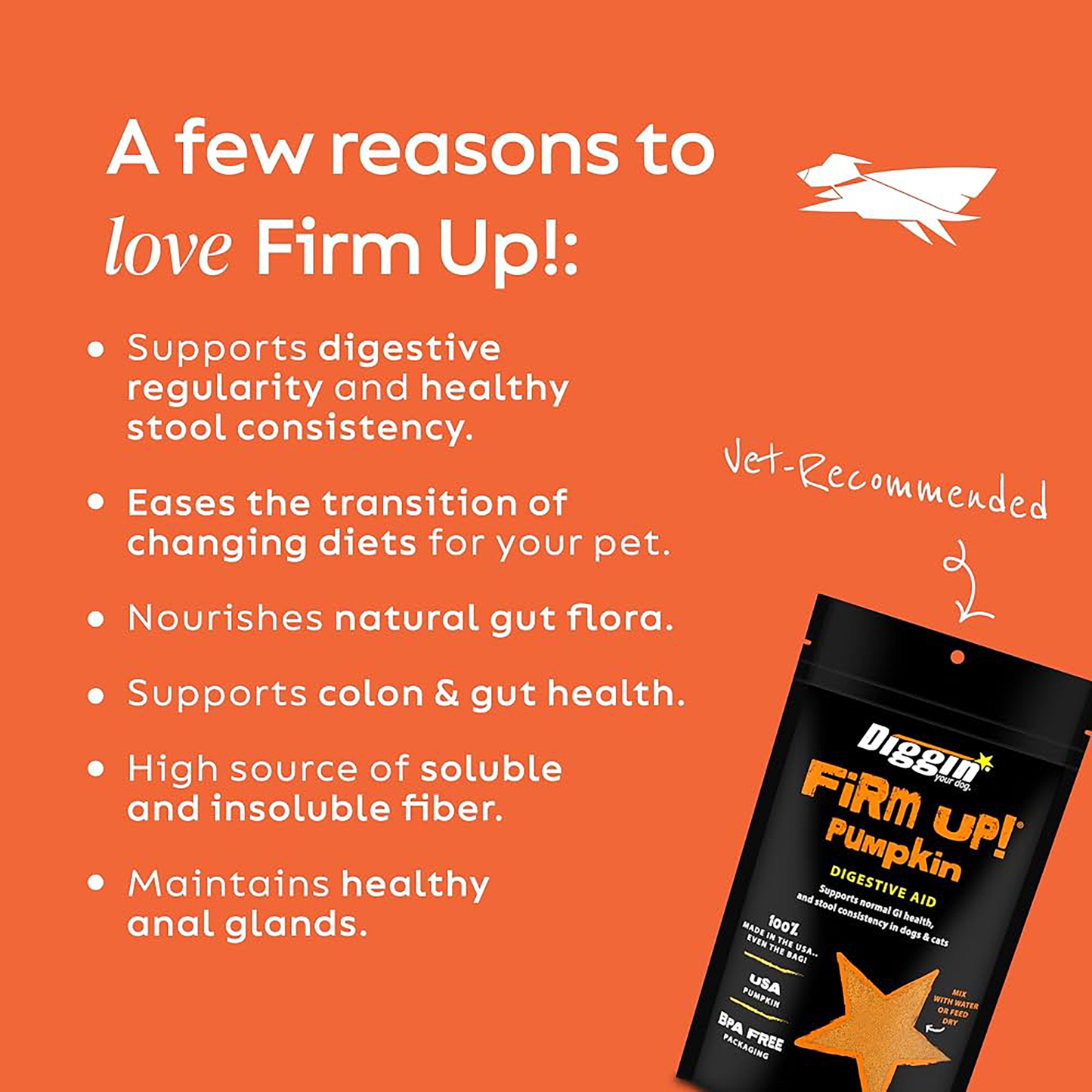 Firm Up! Pumpkin Digestive Aid Supplement for Dogs