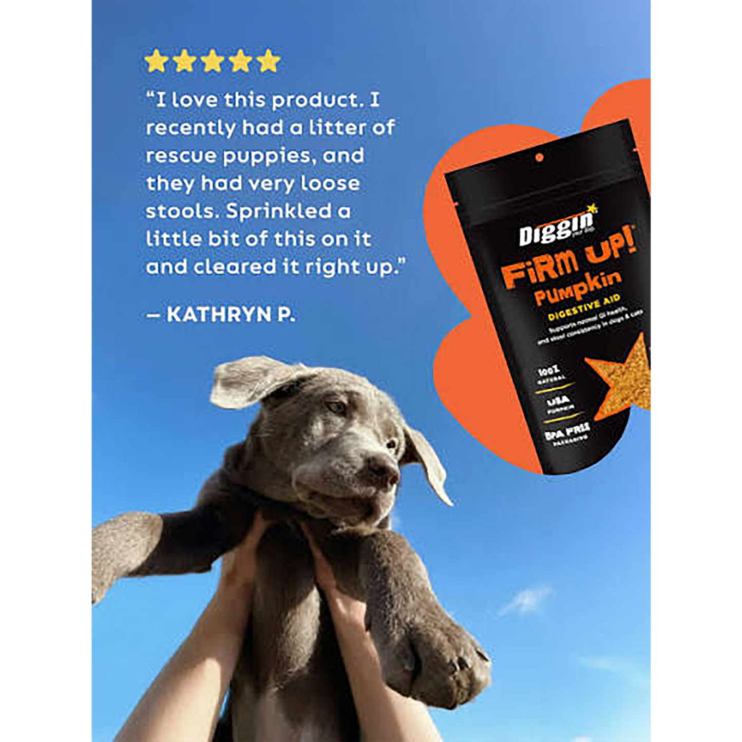 Firm Up! Pumpkin Digestive Aid Supplement for Dogs