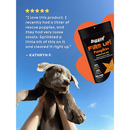 Firm Up! Pumpkin Digestive Aid Supplement for Dogs