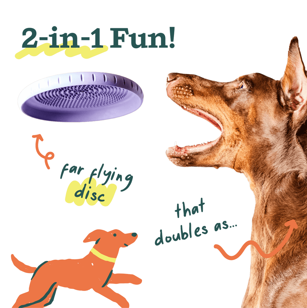 Woof Fly N Feed | Flying Disc & Lick Mat | Lavender