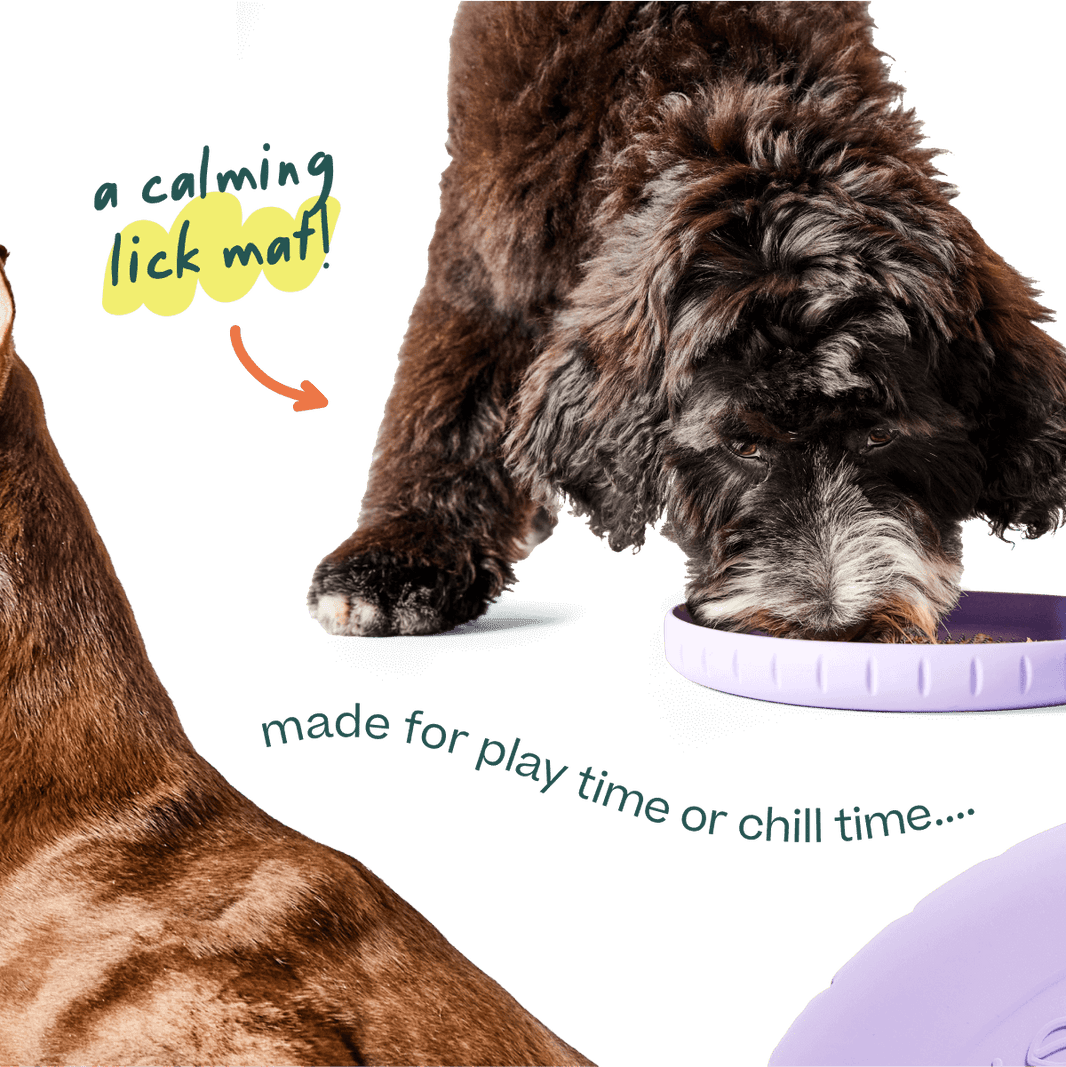 Woof Fly N Feed | Flying Disc & Lick Mat | Lavender