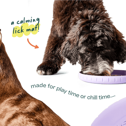 Woof Fly N Feed | Flying Disc & Lick Mat | Lavender