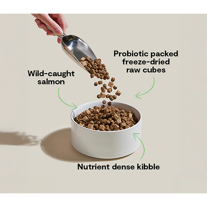 Salmon