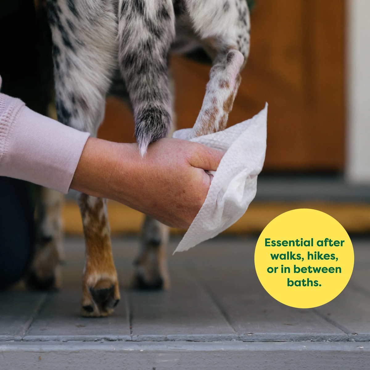 earth-rated®Dog Grooming Wipes