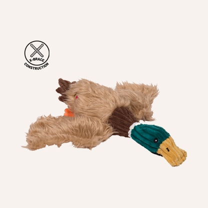 X-Brace™ Drake Duck Plush Dog Toy