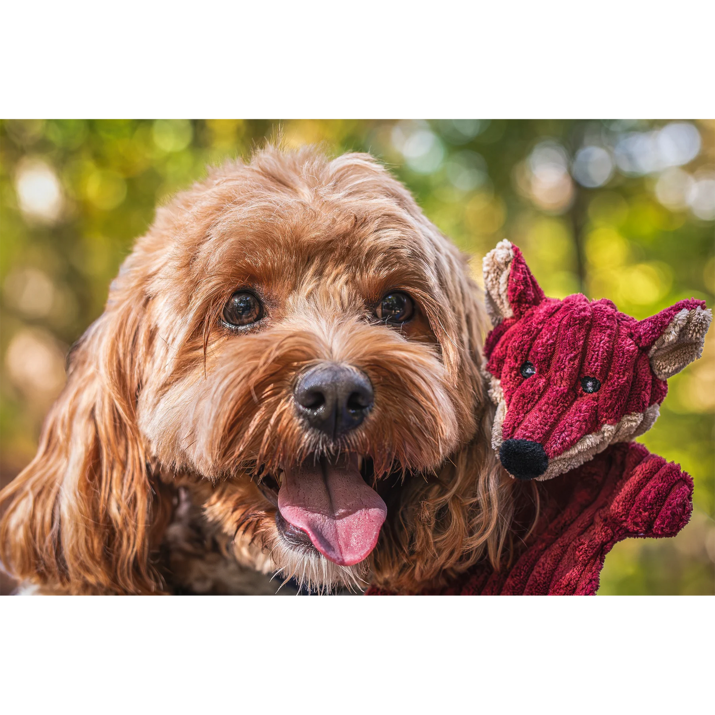 Woodland HuggleFlatties™ Assorted Durable Plush Dog Toys (3pk)