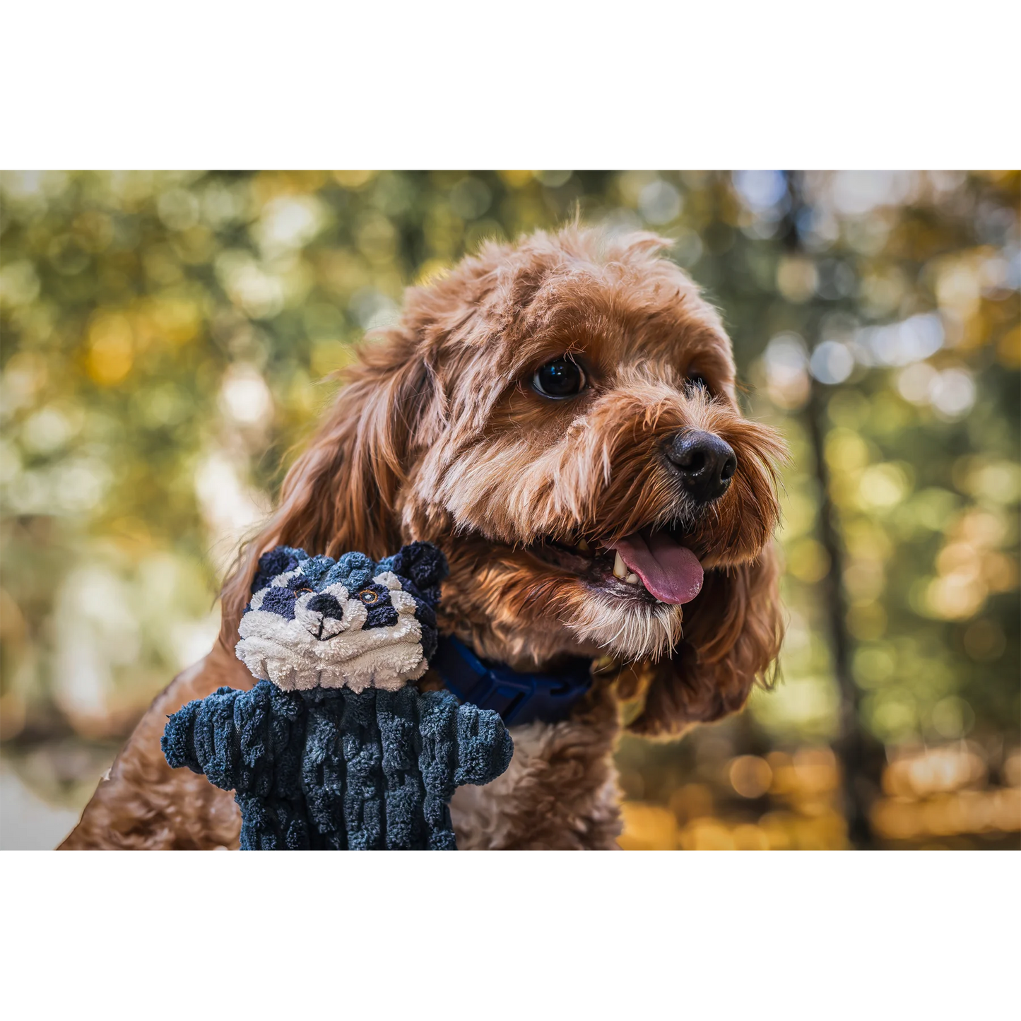 Woodland HuggleFlatties™ Assorted Durable Plush Dog Toys (3pk)