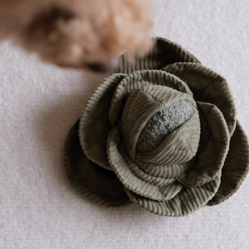 Lambwolf Cabbage Pop | Bouncy Snuffle Crinkle Toy