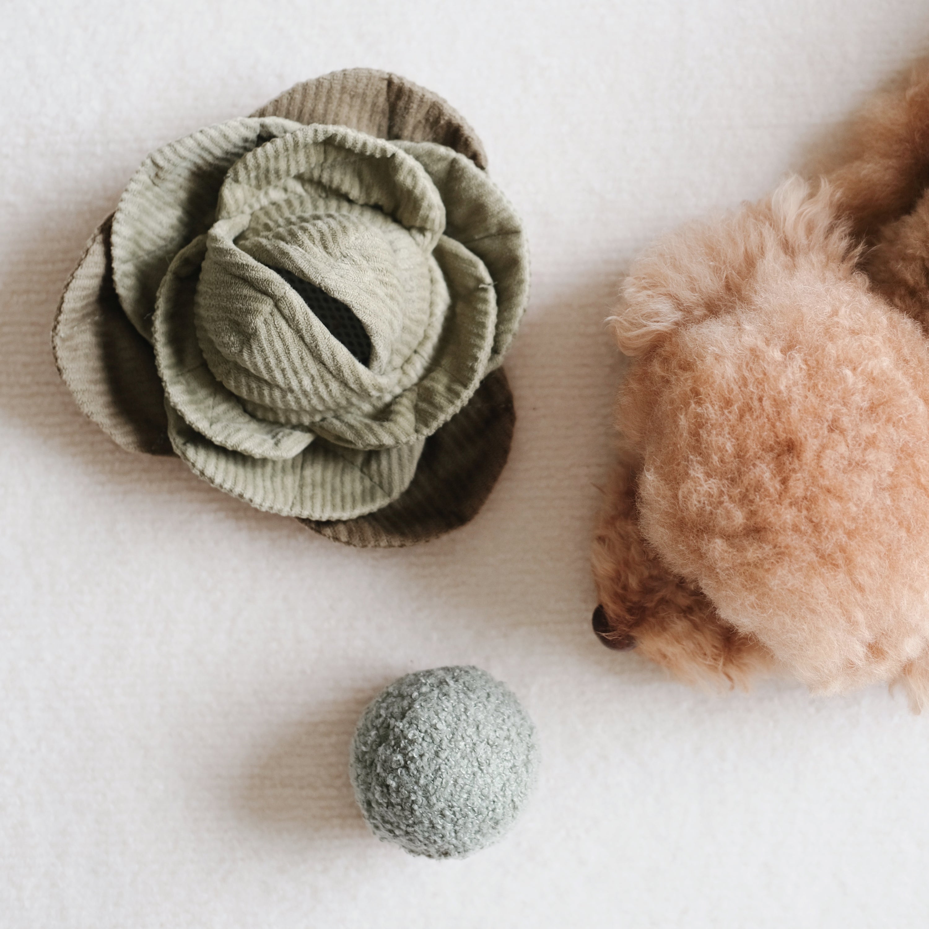 Lambwolf Cabbage Pop | Bouncy Snuffle Crinkle Toy