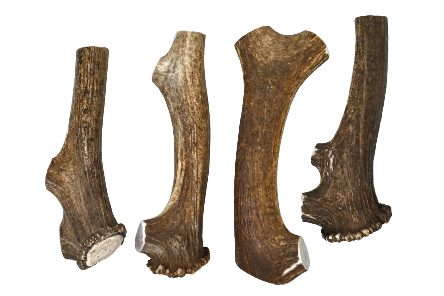 Elk Antler Dog Chew