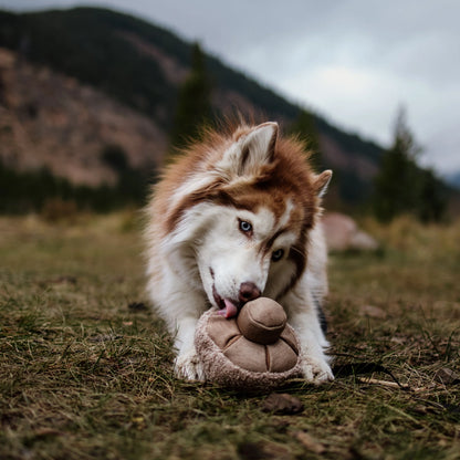 Lambwolf Guu Mushroom | Snuffle Squeaky Toy