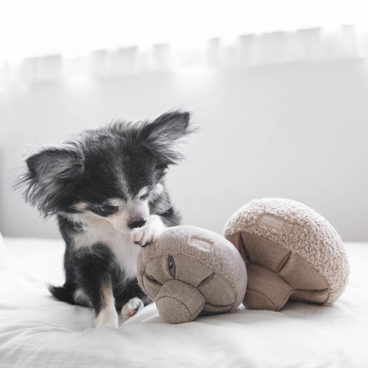 Lambwolf Guu Mushroom | Snuffle Squeaky Toy