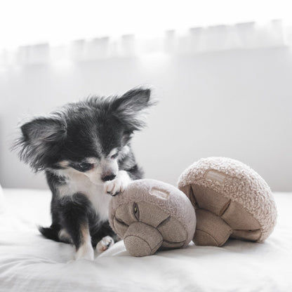 Lambwolf Guu Mushroom | Snuffle Squeaky Toy