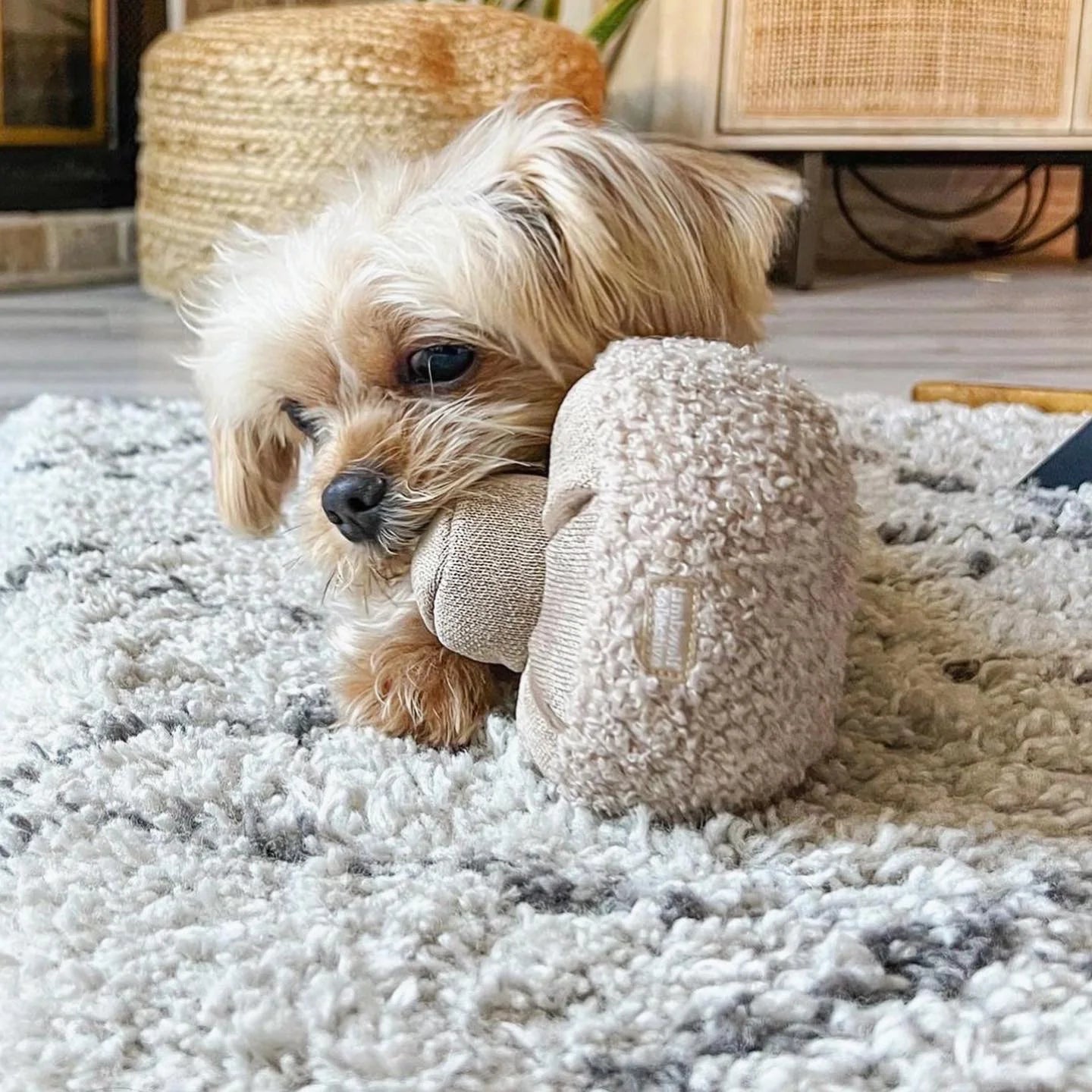 Lambwolf Guu Mushroom | Snuffle Squeaky Toy