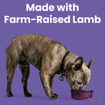 Bixbi Rawbble® Kibble | Lamb Recipe