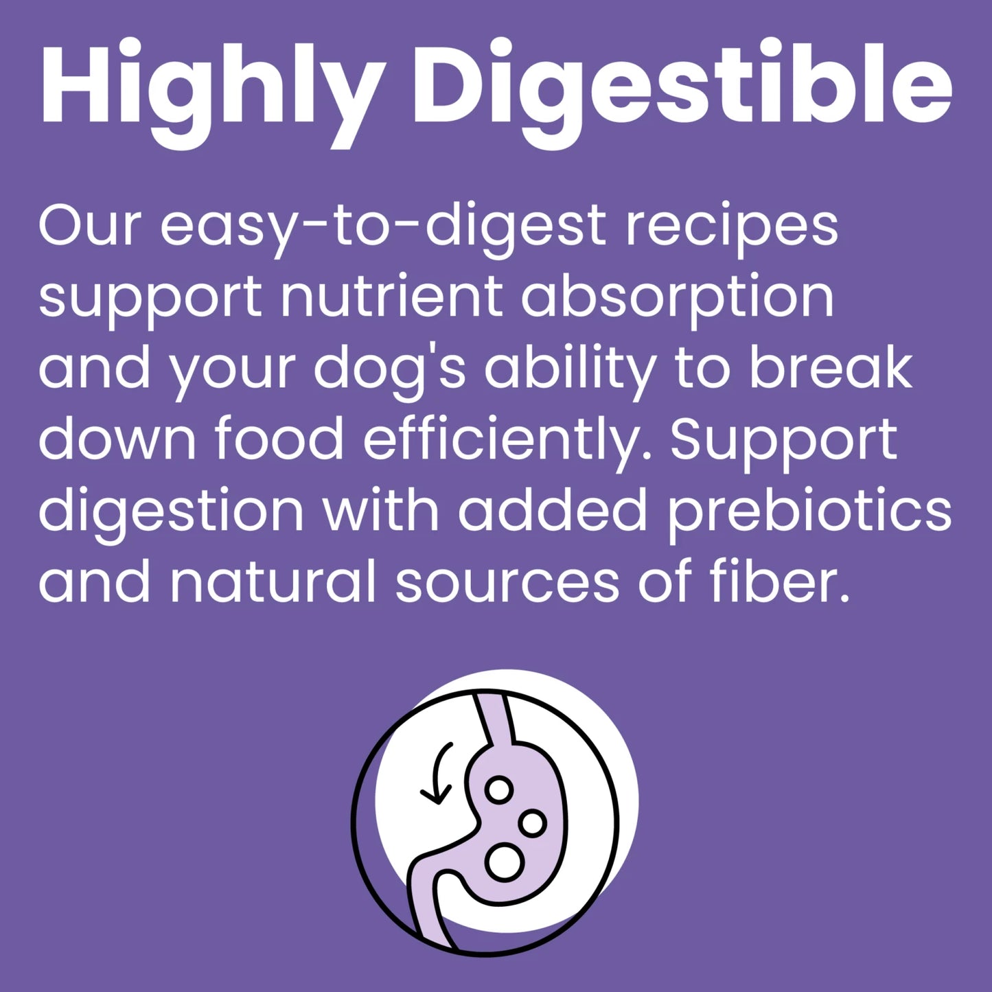 Bixbi Rawbble® Kibble | Lamb Recipe