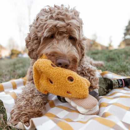 Lambwolf Fromage Cheese | Snuffle & Crinkle Toy