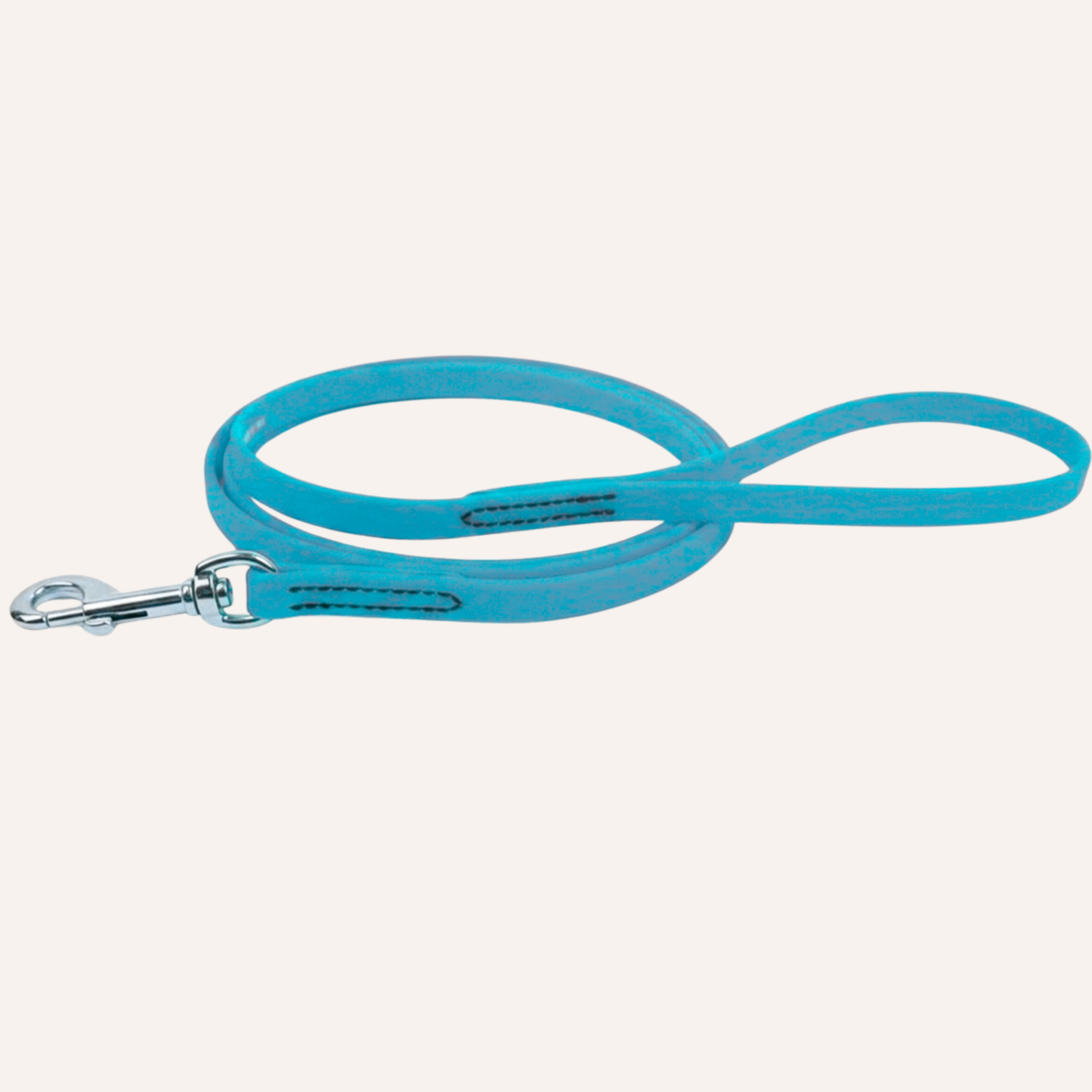 BioThane Snap Leash (6')