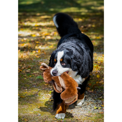 Maple Moose X-Brace™ Durable Plush Dog Toy