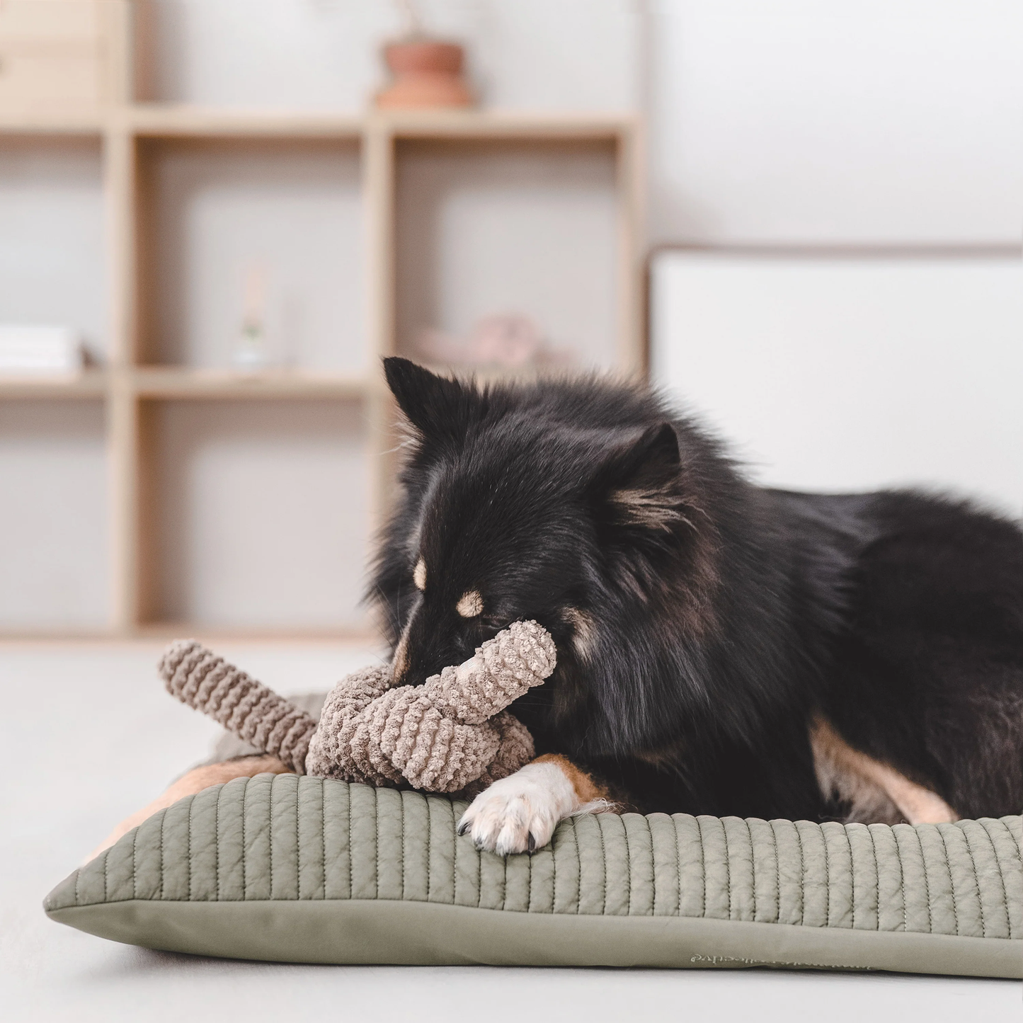 Lambwolf NOU Enrichment Toy | Squeaky + Corduroy