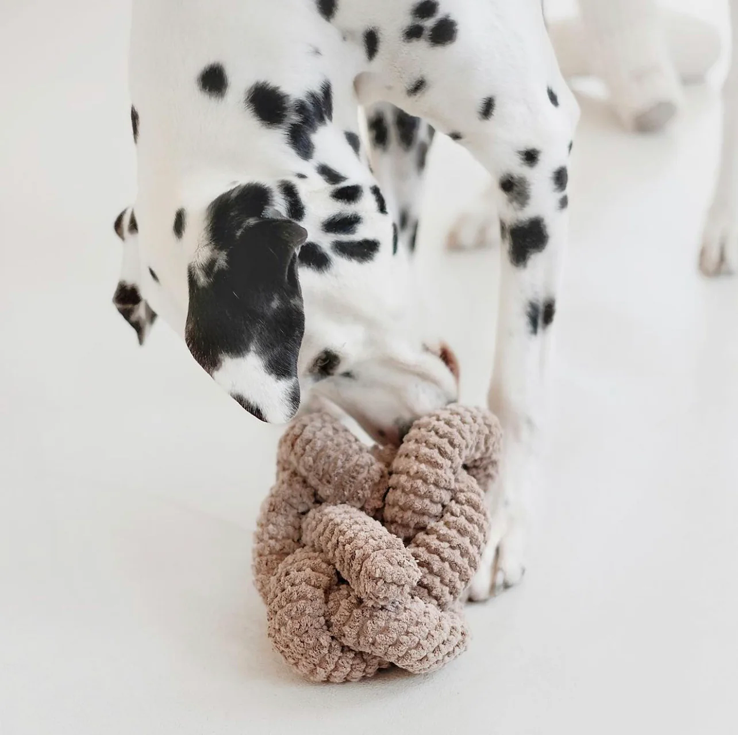 Lambwolf NOU Enrichment Toy | Squeaky + Corduroy
