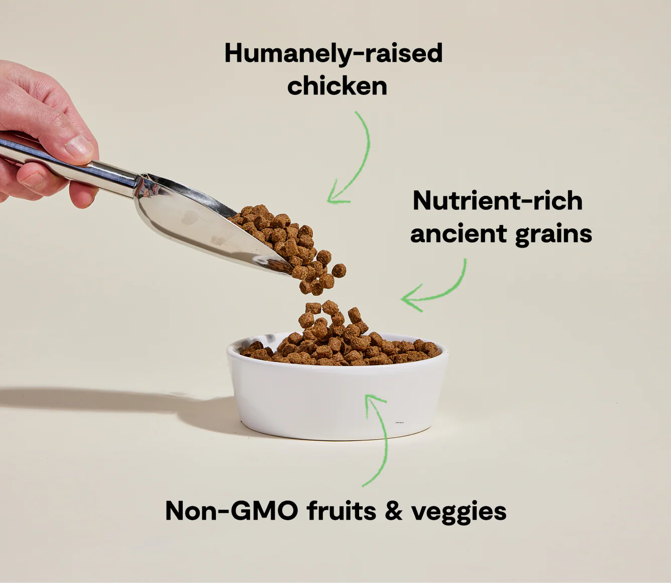 Harvest Chicken Ancient Grain Kibble
