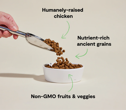 Harvest Chicken Ancient Grain Kibble