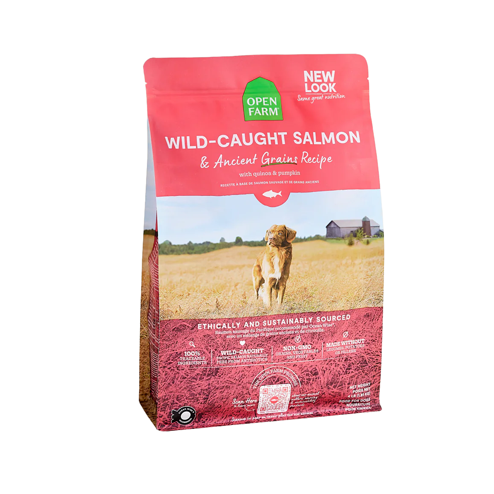 Wild Salmon Ancient Grain Kibble