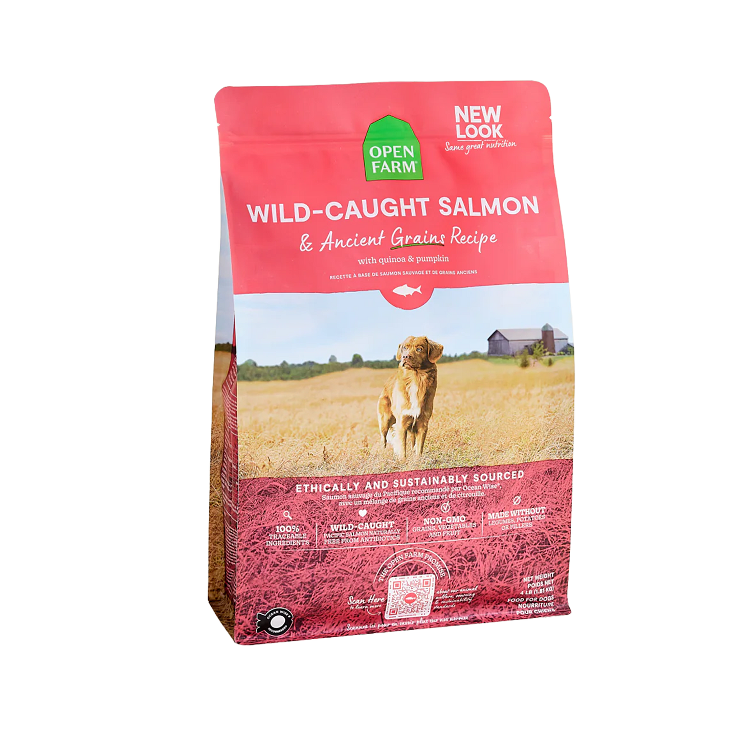 Wild Salmon Ancient Grain Kibble