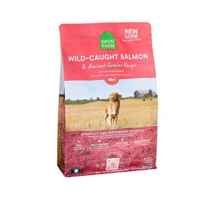 Wild Salmon Ancient Grain Kibble