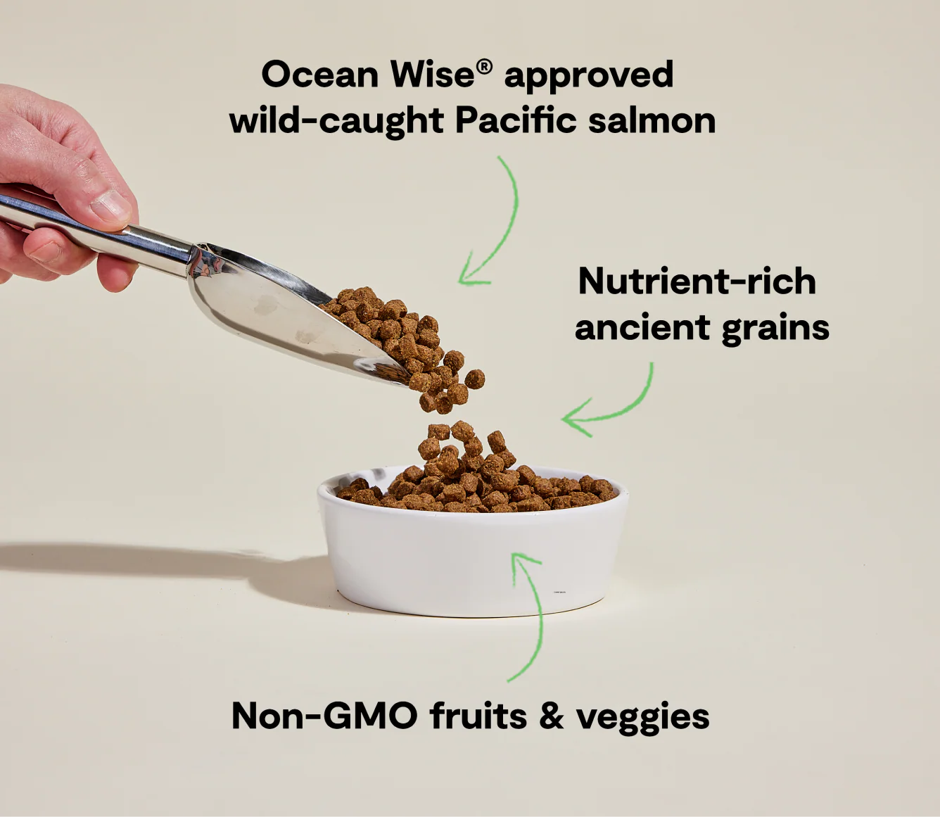 Wild Salmon Ancient Grain Kibble