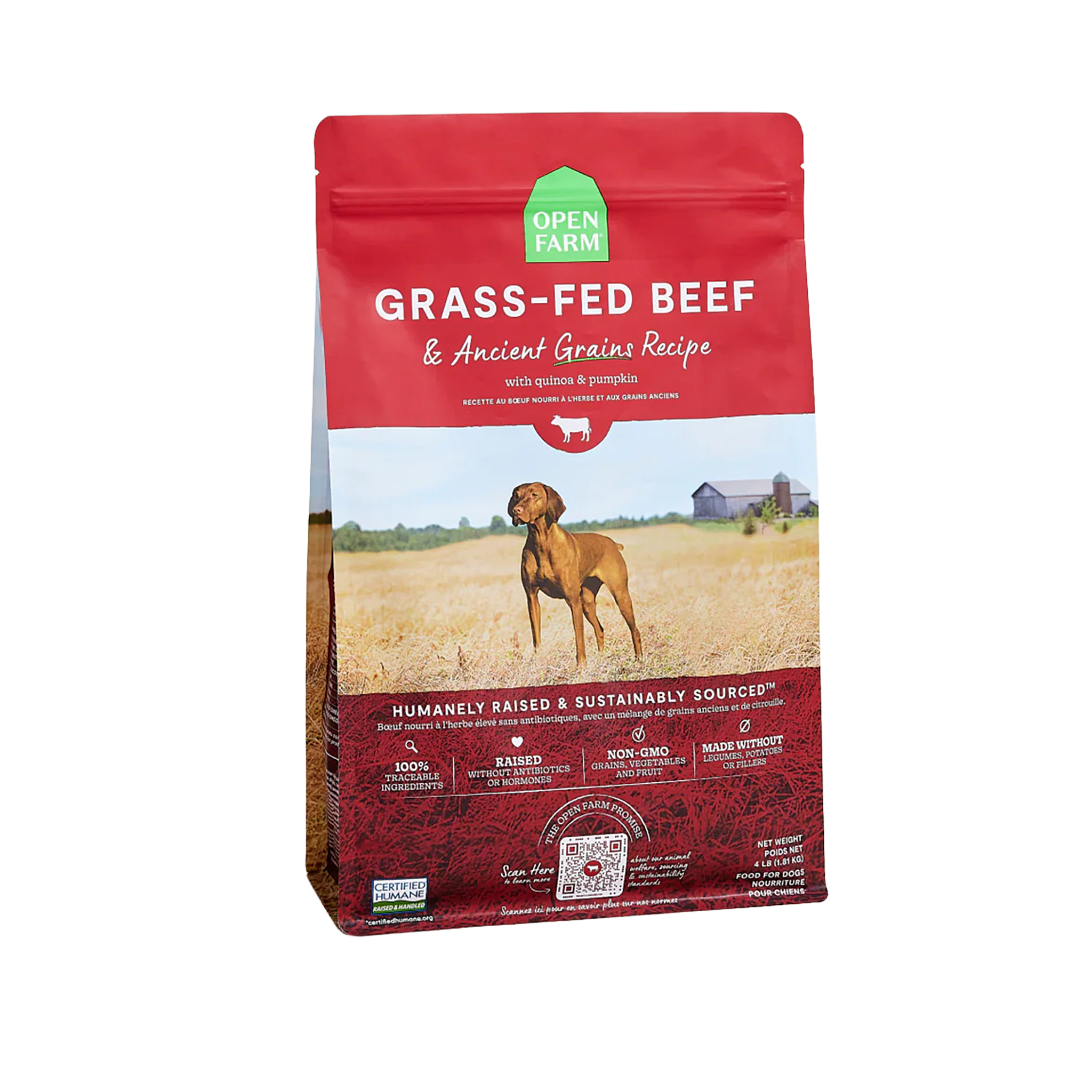 Beef Ancient Grain Kibble