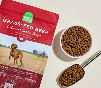 Beef Ancient Grain Kibble