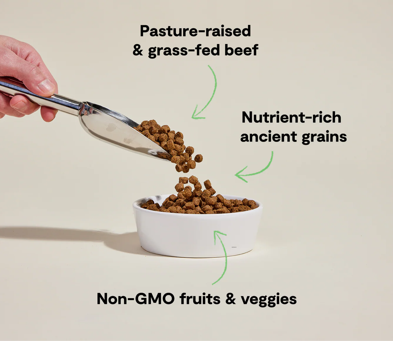 Beef Ancient Grain Kibble