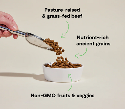 Beef Ancient Grain Kibble