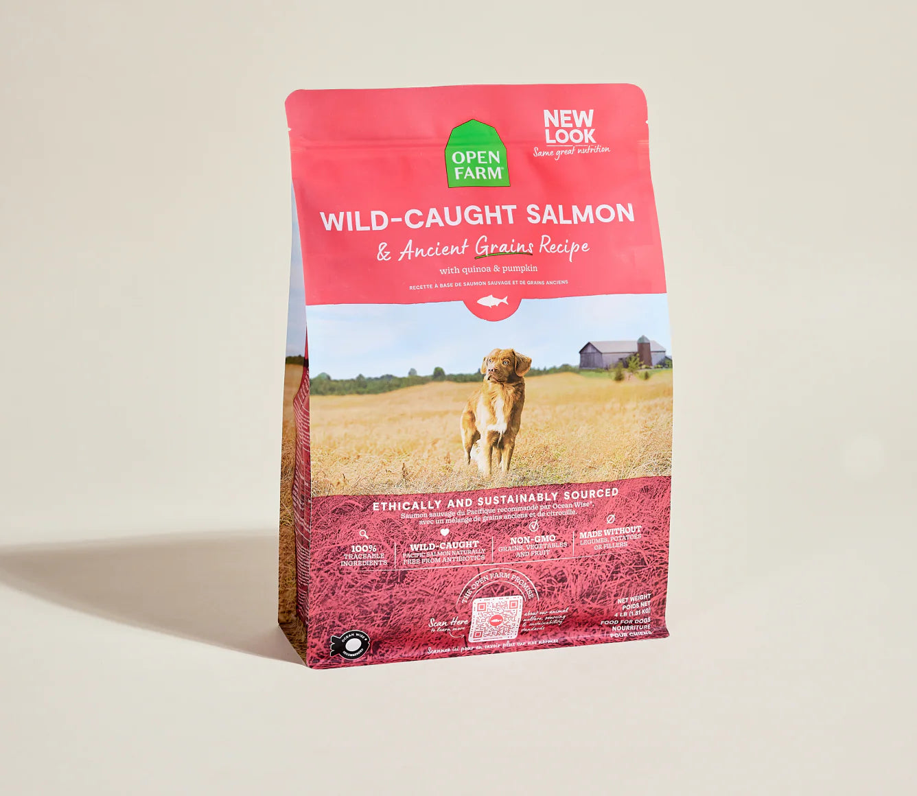 Wild Salmon Ancient Grain Kibble