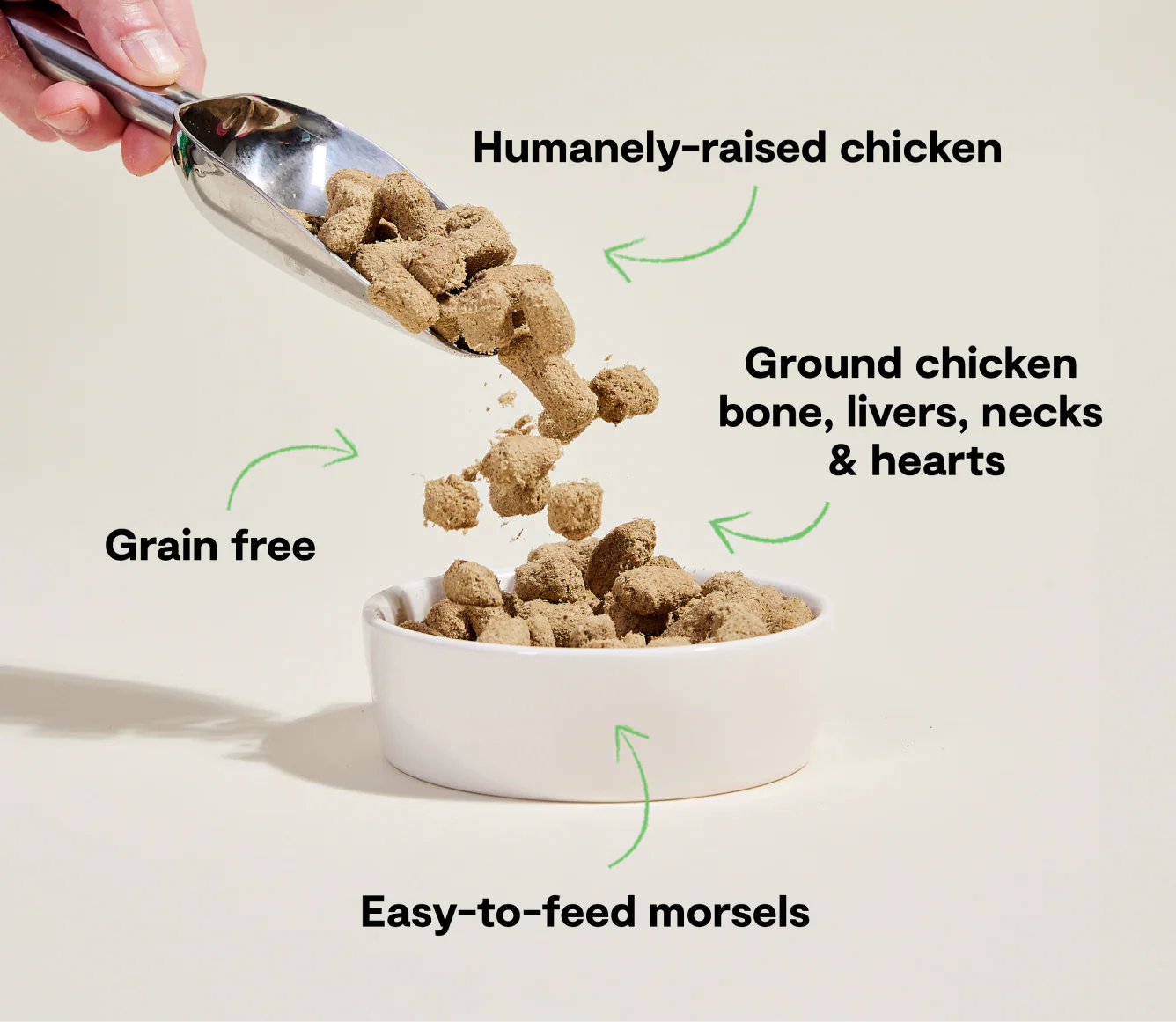 Chicken
