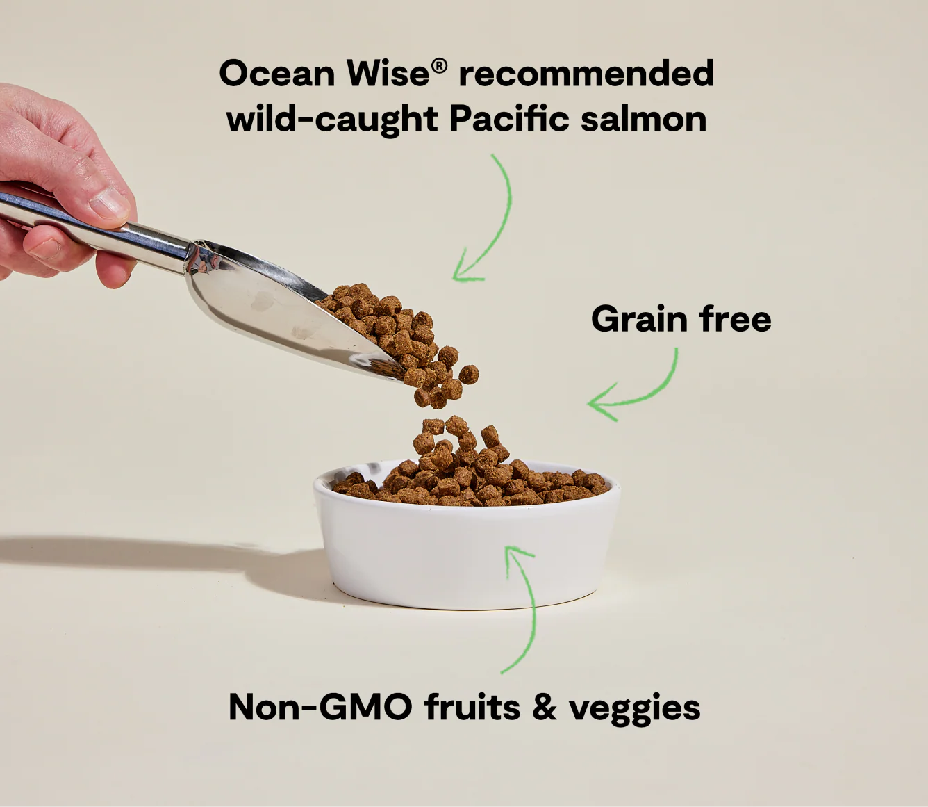 Wild-Caught Salmon Grain-Free Kibble For Dogs