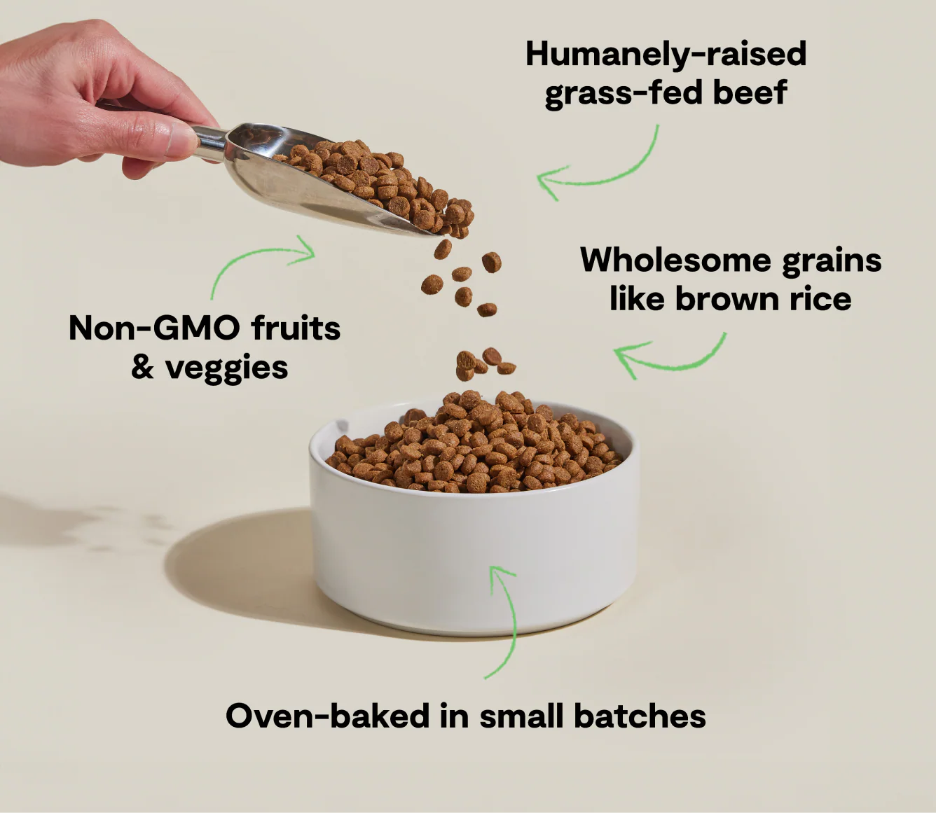 Goodbowl™  Beef & Brown Rice Dog Kibble
