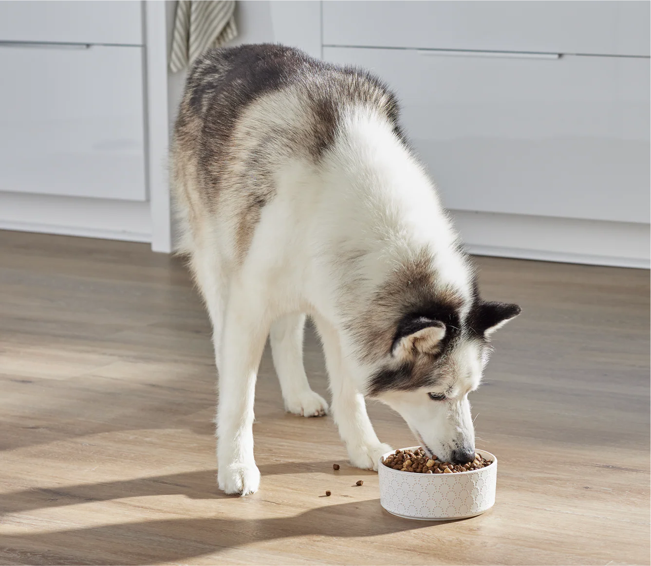 RawMix Open Prairie Ancient Grain Kibble