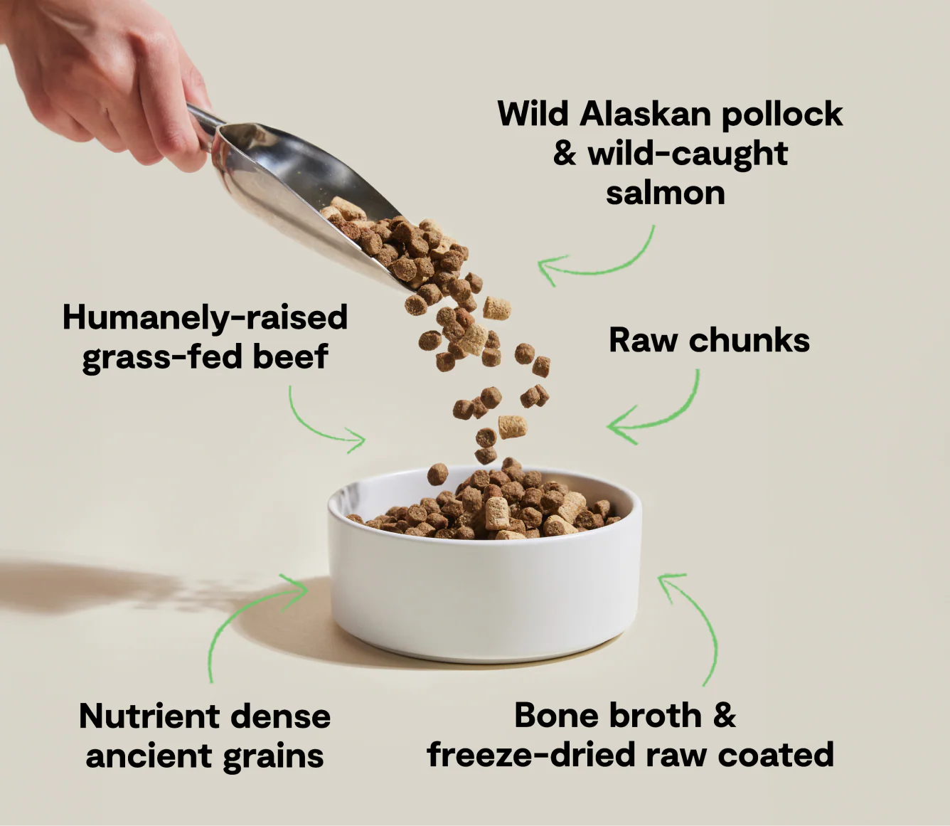 RawMix Tide & Terrain Ancient Grain Kibble