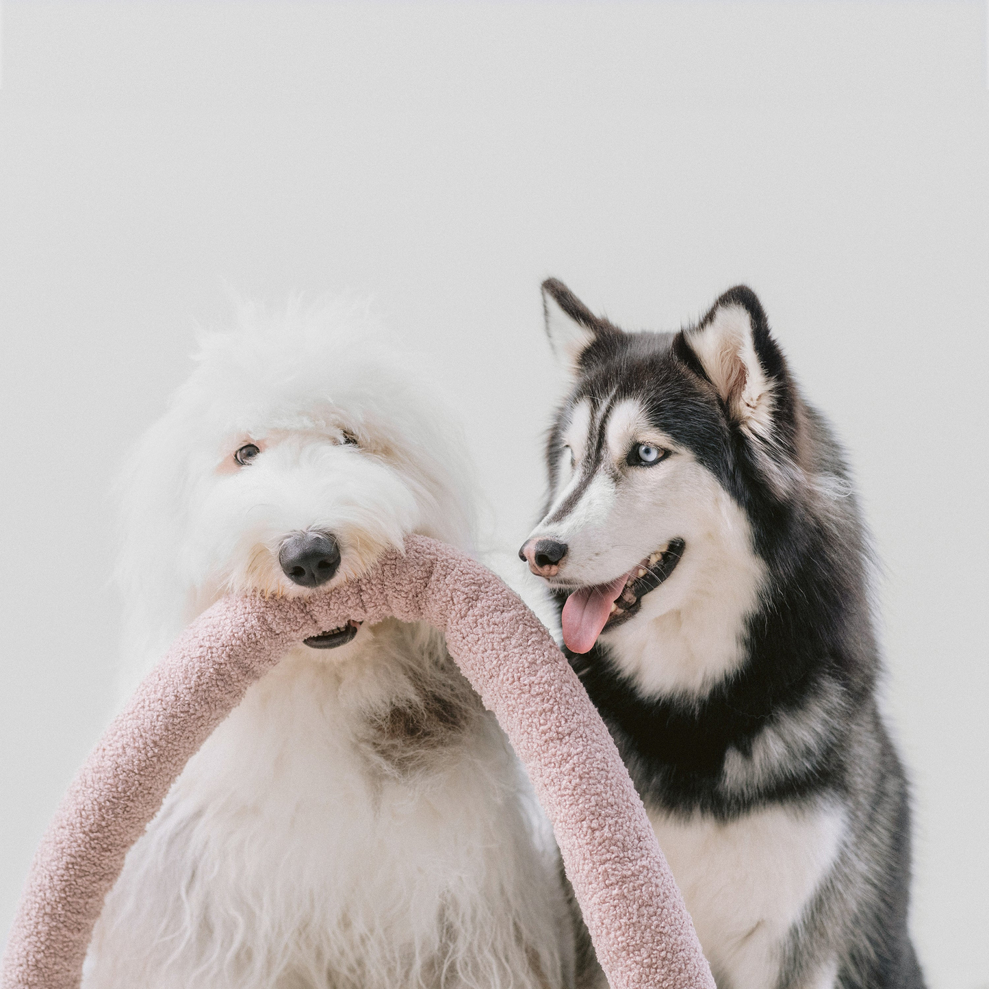 Lambwolf O NOU Enrichment Toy | Oversized + Squeaky
