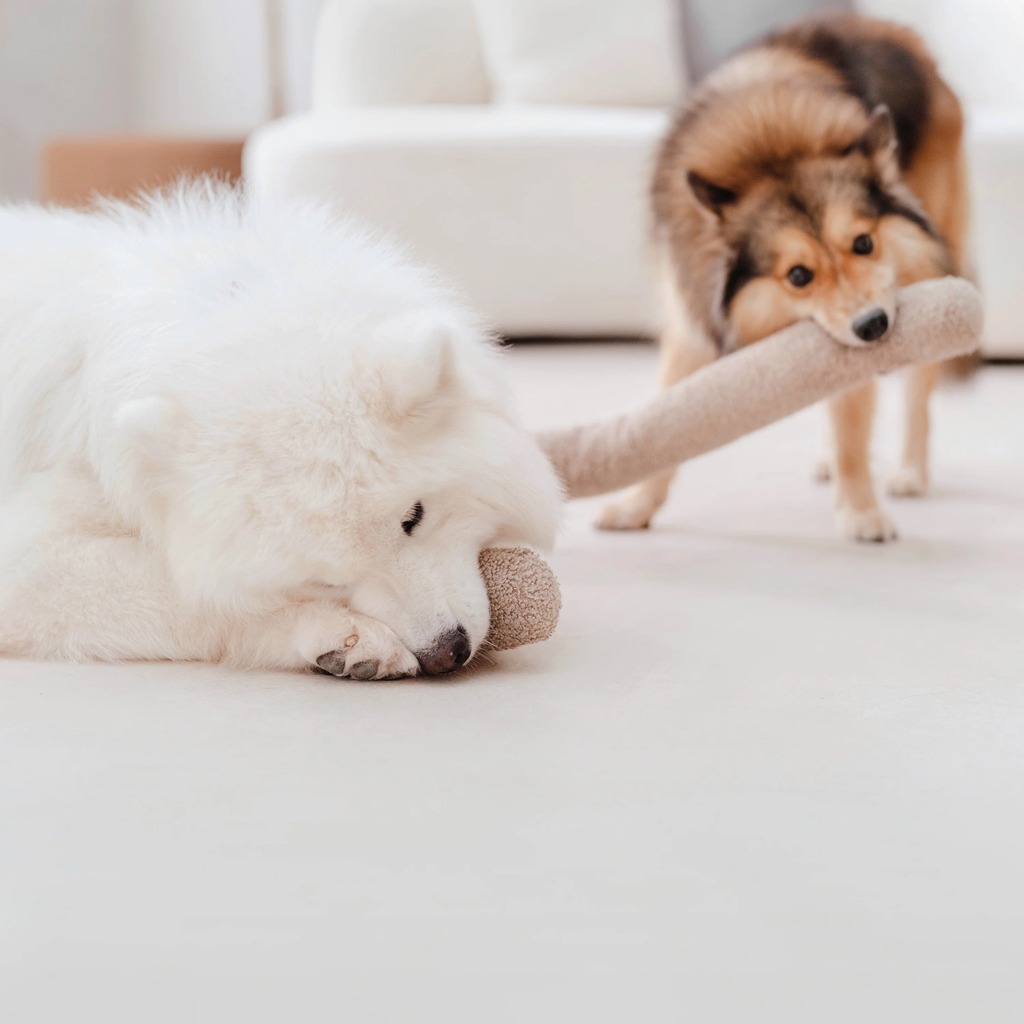 Lambwolf O NOU Enrichment Toy | Oversized + Squeaky