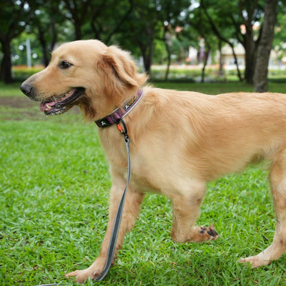 Rubber Grip Reflective Leash