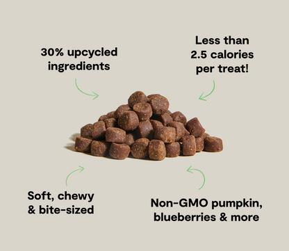Plant Recipe with Pumpkin
